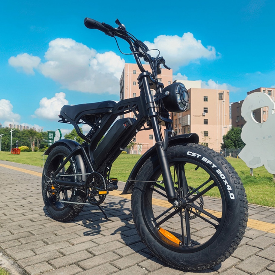 Electric Scooter Adults - YTYIN 2024 Made in China Fabriek