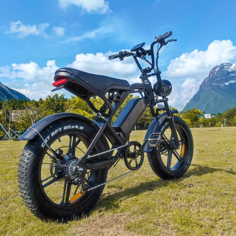 YTYIN 2024 Made in China Fabri - Electric Scooter Adults recensie en prijs
