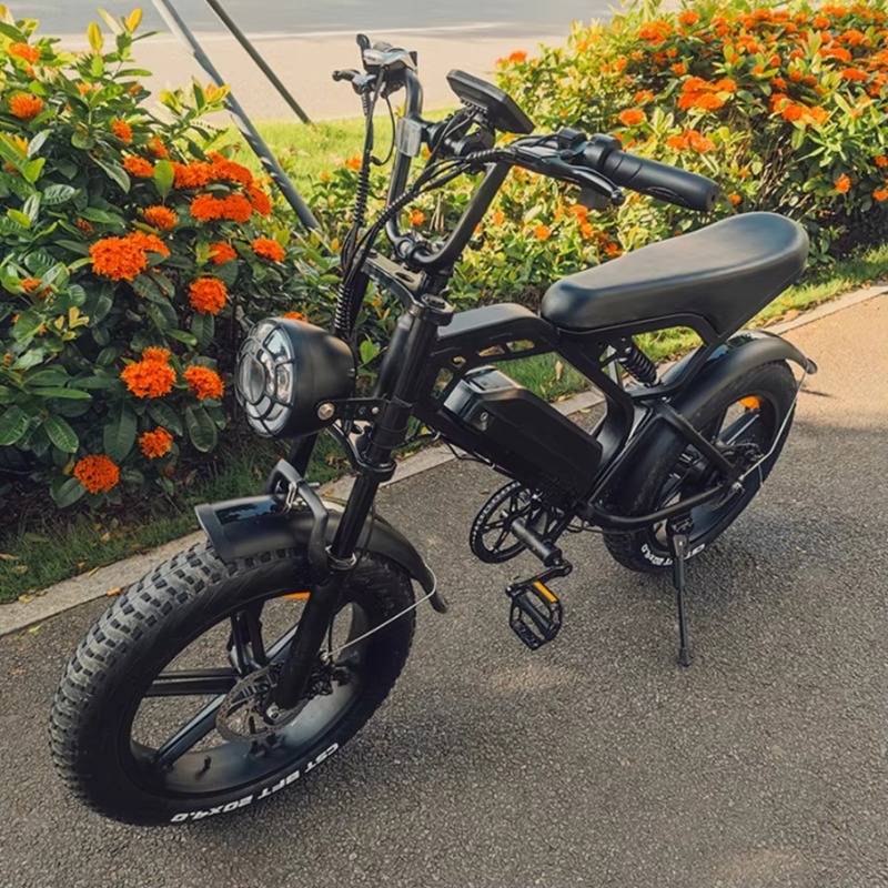 YTYIN 2024 Made in China Fabri - Electric Scooter Adults recensie en prijs